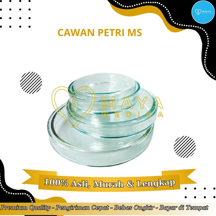 Cawan Petri / MS / - Kaca