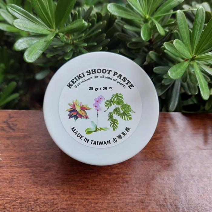 Keiki Paste Plus 25 Gram Hormon Pertumbuhan Tunas Anggrek