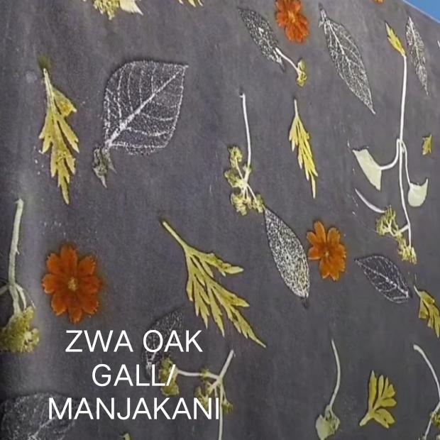 PREMIUM ZWA OAK GALL/Manjakani Bubuk 100 gram
