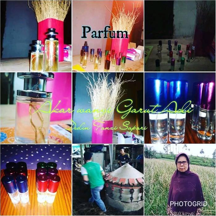 vetifer oil Akar wangi bibit Asli ,Esensial oil  , #Parfum #bibitparfum