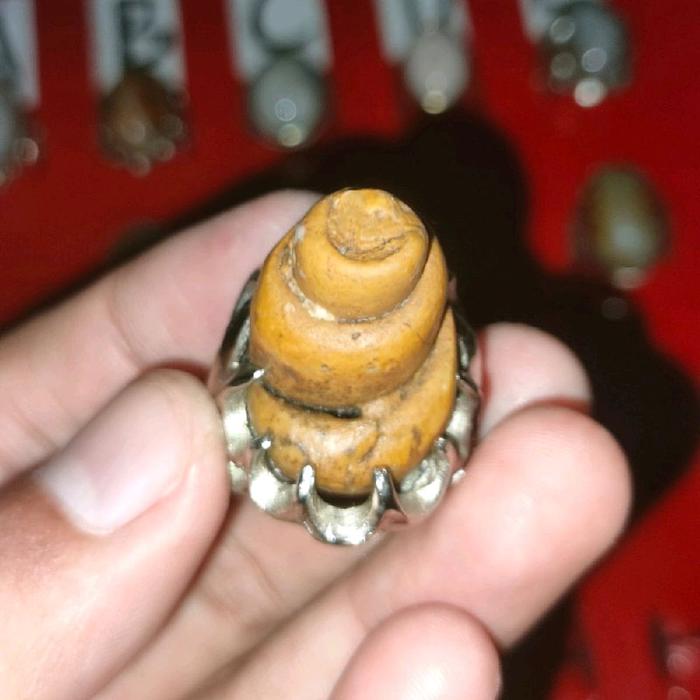Batu akik mustika keong buntek