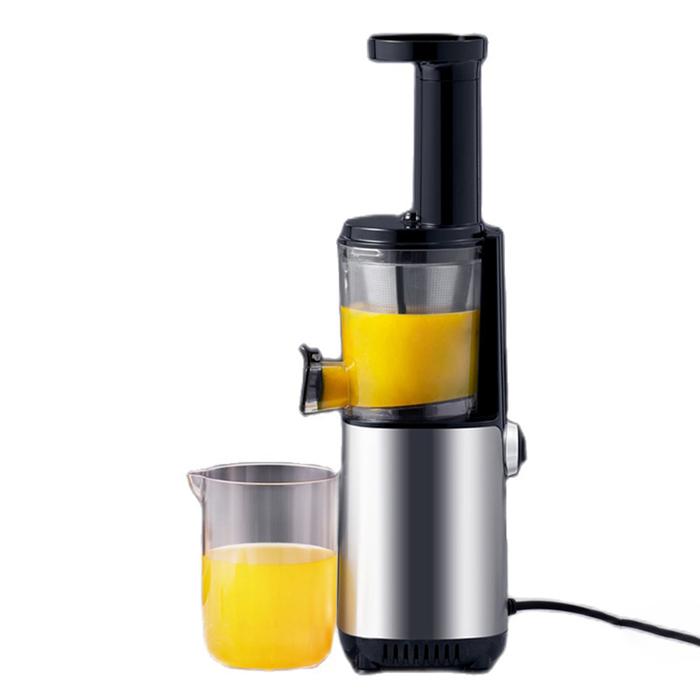 Mini Stainless Steel Slow Masticating Juicer Fruit Vegetable Juice