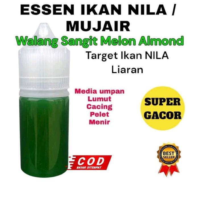 Essen Ikan Nila Mujair aroma Walang sangit Melon Almond umpan mancing liaran lomba kilo gebrus palin
