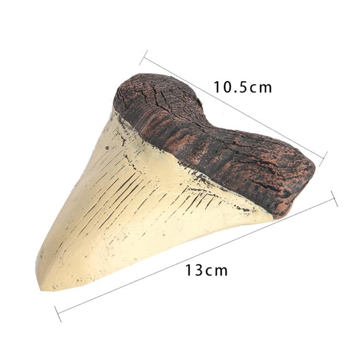 Megalodon Gigi Hiu Fosil Gigi Hiu Raksasa Replika Resin Gigi Megalodon