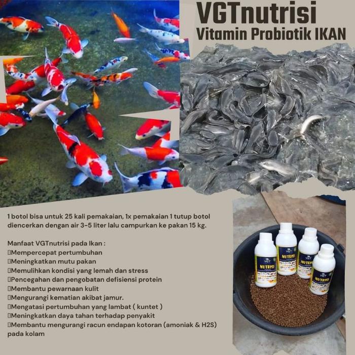STP KAE pakan ikan koi multivitamin + asam amino Protein 50 -52%