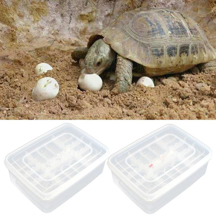 Reptile Egg Tray Snake Lizard Egg Hatching Incubator Box Gecko