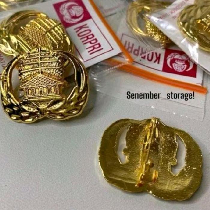 Pin PPPK - Pin ASN - Pin PNS - Pin PPPK - Pin Korpri Murah