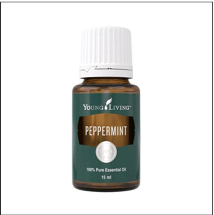 Young Living YLEO Peppermint Segel ORI 15ml