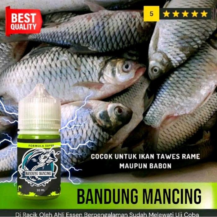 Essen Ikan Tawes, Umpan Ikan Wader Varian 30ml