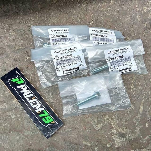 Baut Segitiga Atas Ori Tele KLX 150 S L Baud USD KLX150 BF Dtracker