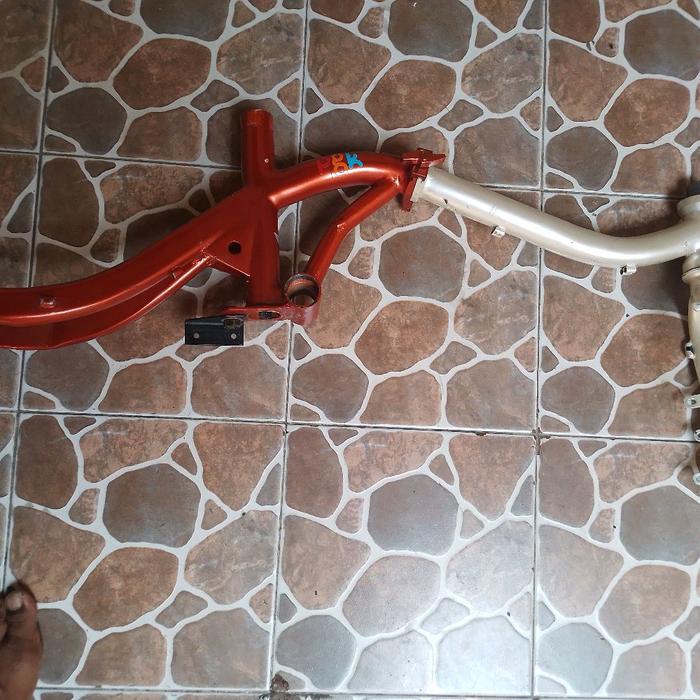 frame 16 unik custom fork pacific kodiak E