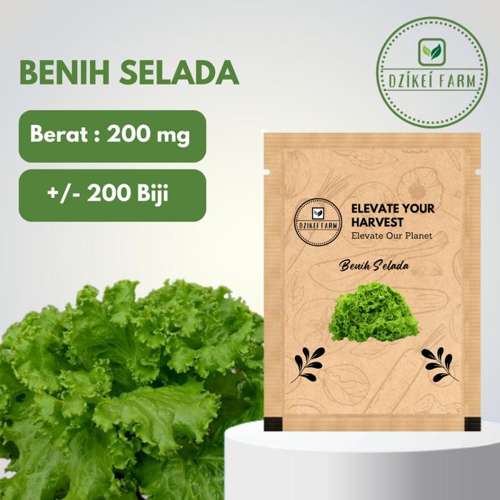 Benih Seribuan Bibit Sayuran Selada Hijau Keriting / Kriebo +/- 200 Biji Unggul Bisa Untuk Hidroponi