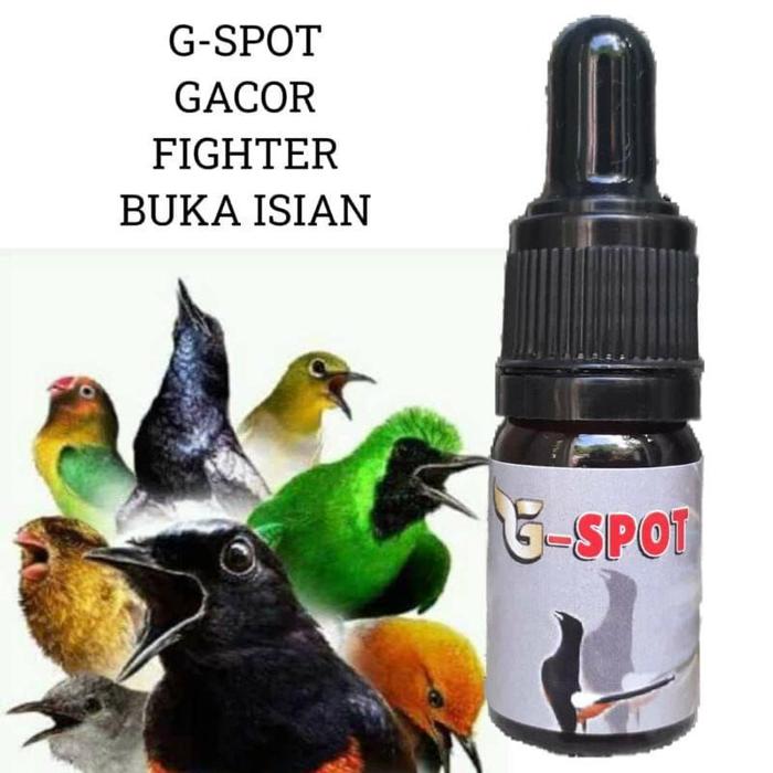 DE VOLTAGE PLECI DORODOD EDAN METABOLIS DOPING VITAMIN BURUNG PLECI