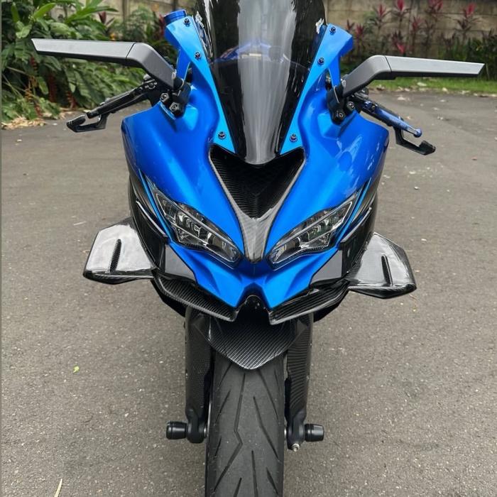 Wingside carbon kevlar zx25r zx25rr zx4rr ala bmw1000rr