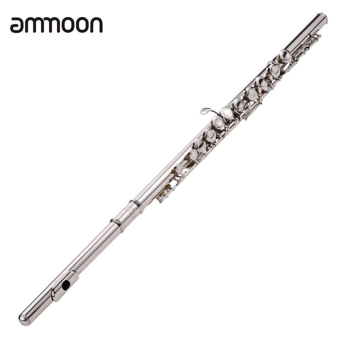 Western Concert Flute Silver Plated 16 Holes C Key Cupronickel