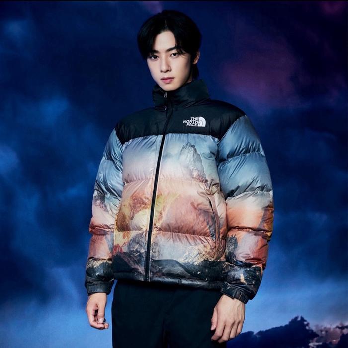 Down Jacket TNF 1996 Novelty Nuptse Himalaya Multicolor