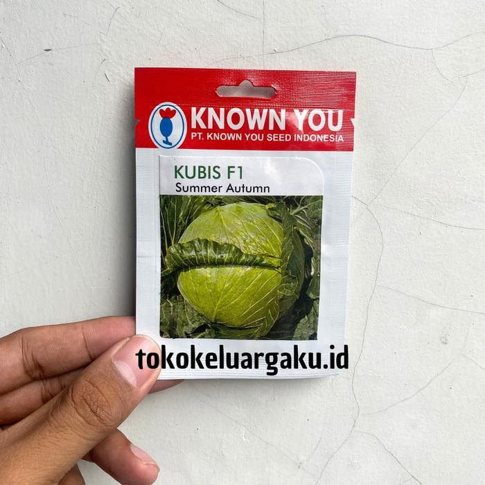 Benih Kubis F1 Summer Autumn Kol Hijau - Known You Seed KYS