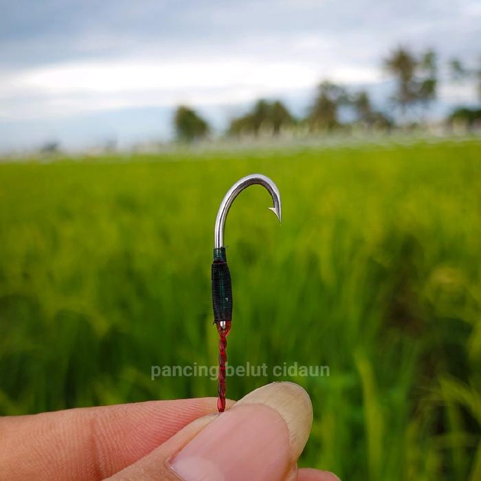 Pancing Urek Belut model gayung