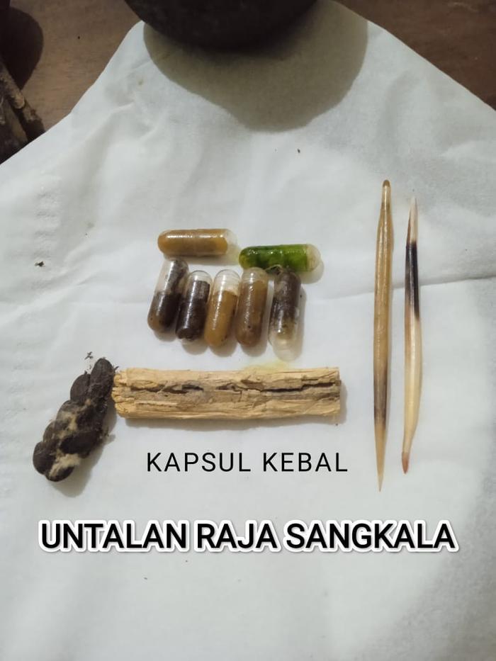 KOLEKSI KAPSUL KEBAL , UNTALAN RAJA SANGKALA