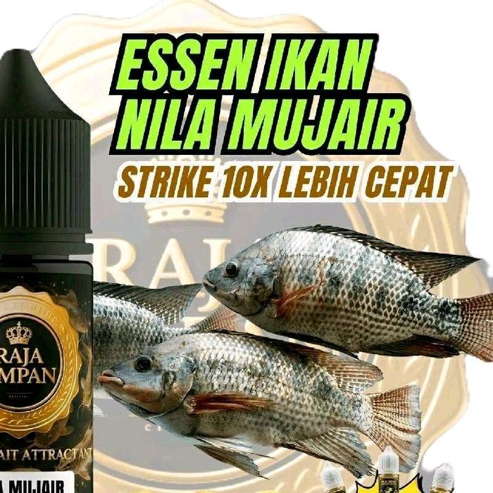Raja Umpan Essen Ikan Nila  jitu 30ML Strike  Lebih Cepat