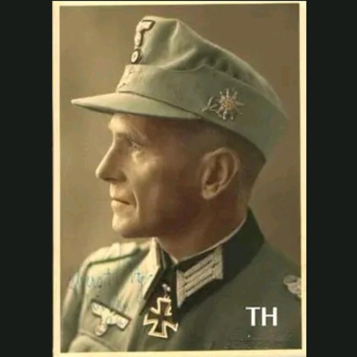 pin jadul pin tentara jerman jadul pin edelweis nasi jerman pin topi tentara nasi jerman jadul pin g