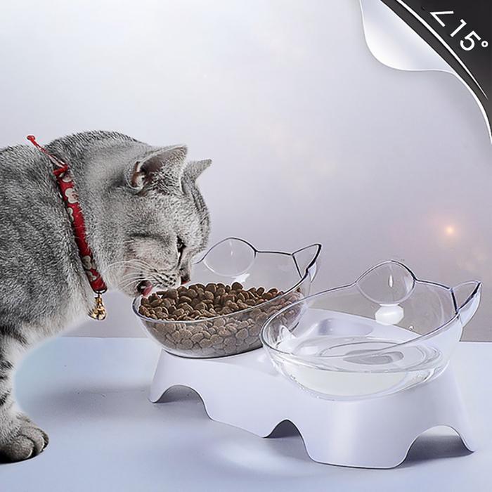 15 Degree Tilt Cat Bowl with Raised Stand,Pet Feeding Drinking