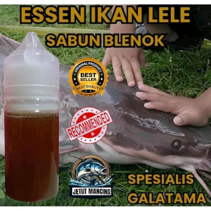 Essen ikan lele aroma sabun blenok spesialis galatama essen ikan lele paling jitu 5X lebih gacor ess
