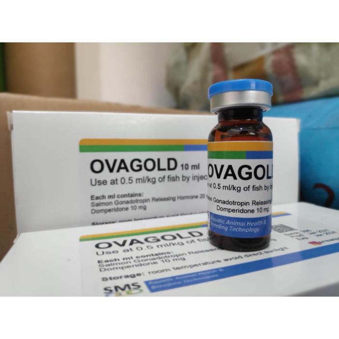 Minyak Ikan Tunghai/Minyak Ikan untuk Kucing/Vitamin Fish Oil (100