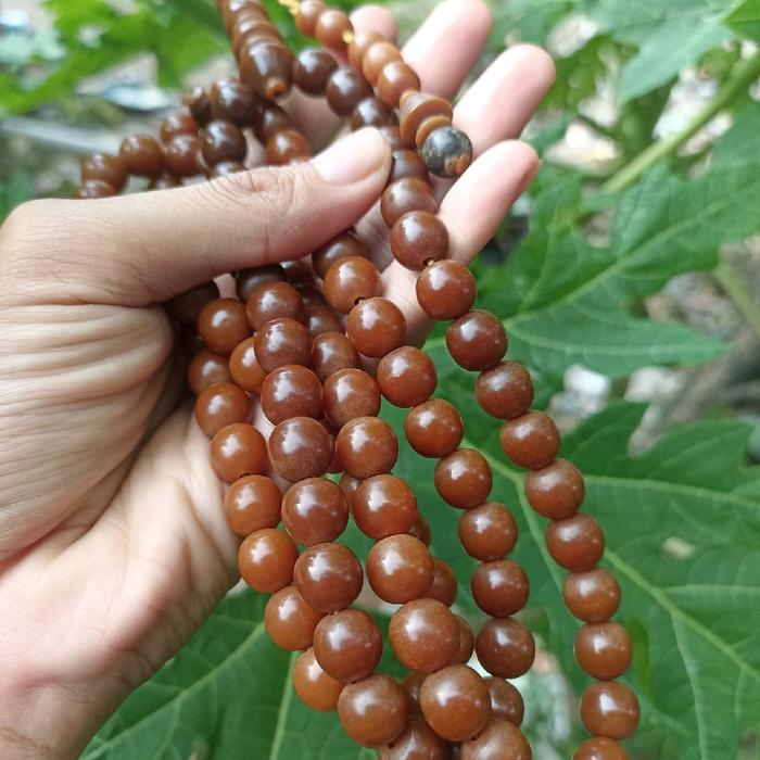 tasbih biji gebang cirebon pangeran Sutajaya bukan batu marjan laut merah