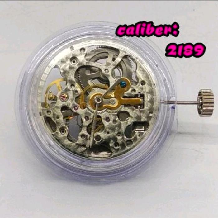 Movement Watch ty2189 Skeleton
