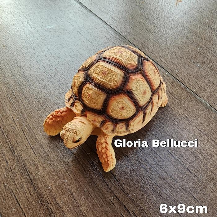 Patung kura kura sulcata pajangan kura2 turtle tortoise africa