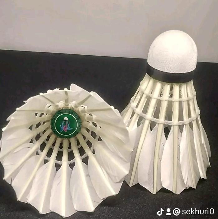 Top Progressive Badminton Shuttlecocks Sport