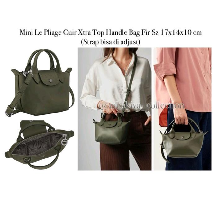 Mini Le Pliage Cuir Xtra Top Handle Bag Fir