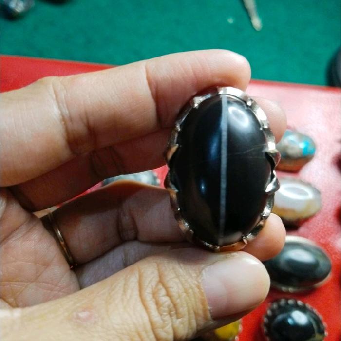 fosil kelor pamor banyumili tapak jalak natural alam losdor 5 kali