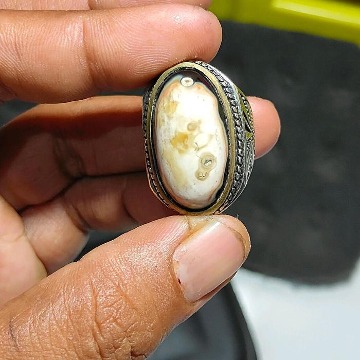 batu akik fosil kelor kelanceng putih