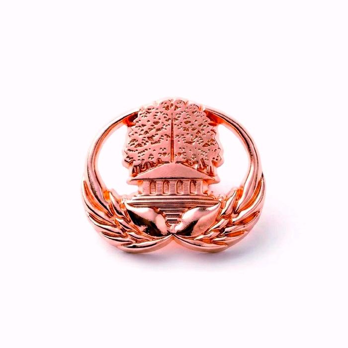 Bivet Pin Bros KORPRI 3D Pin Astrbrata TERBARU Perunggu Desain Eksklusif untuk Penggunaan Formal