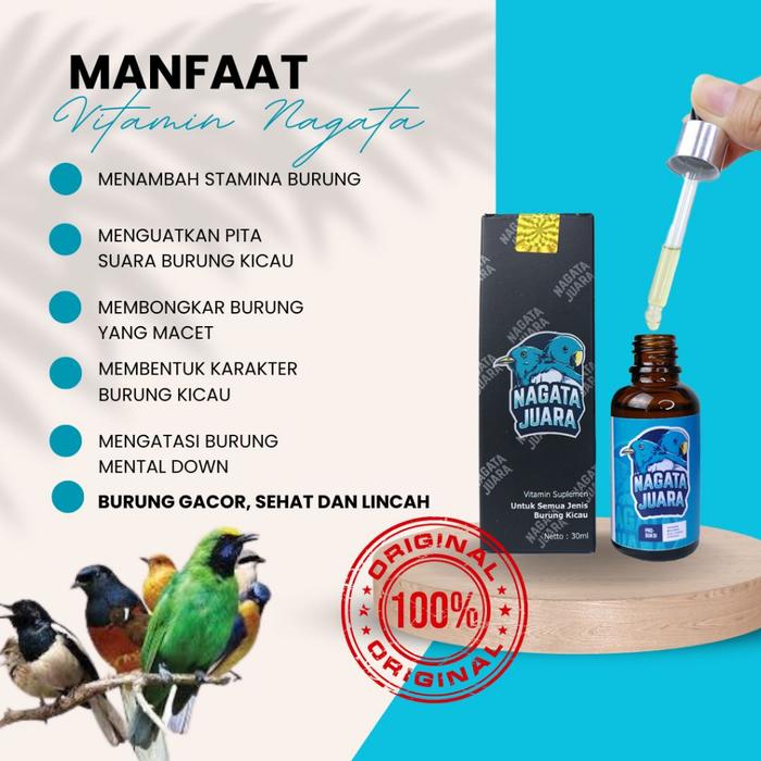 Vitamin Lovebird Konslet KINGLOVEBIRD Pakan Burung Lovebird Konslet
