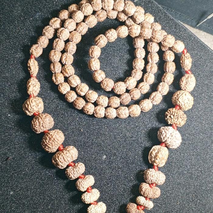 indrakshi mala 1_21 Mukhi trijuti savar rudraksha