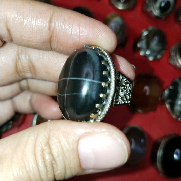 Fosil Kelor Kendit Tapak Jalak Natural Alam Losdor - Batu Alam