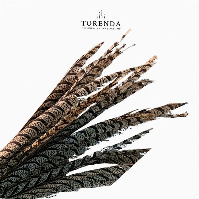 Torenda Payet Bulu Antik Sun Go Kong Bulu Ayam Natural Pheasant Tail Feathers Pheonix | Kekinian