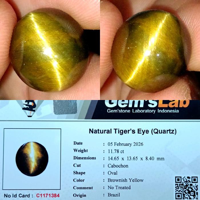 NATURAL TIGER'S EYE QUARTZ BIG SIZE ORIGIN BRAZIL MEMO GLI LAB