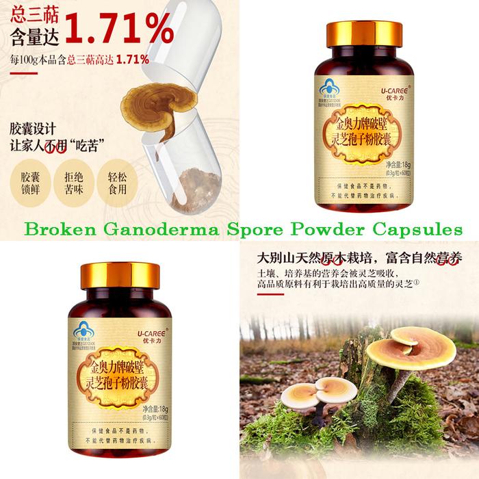 Ganoderma penguat sistem imun kesehatan, kapsul Reishi kapsul Spore