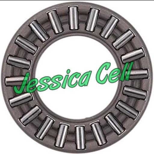 THRUST BEARING AXK 80105 TORR