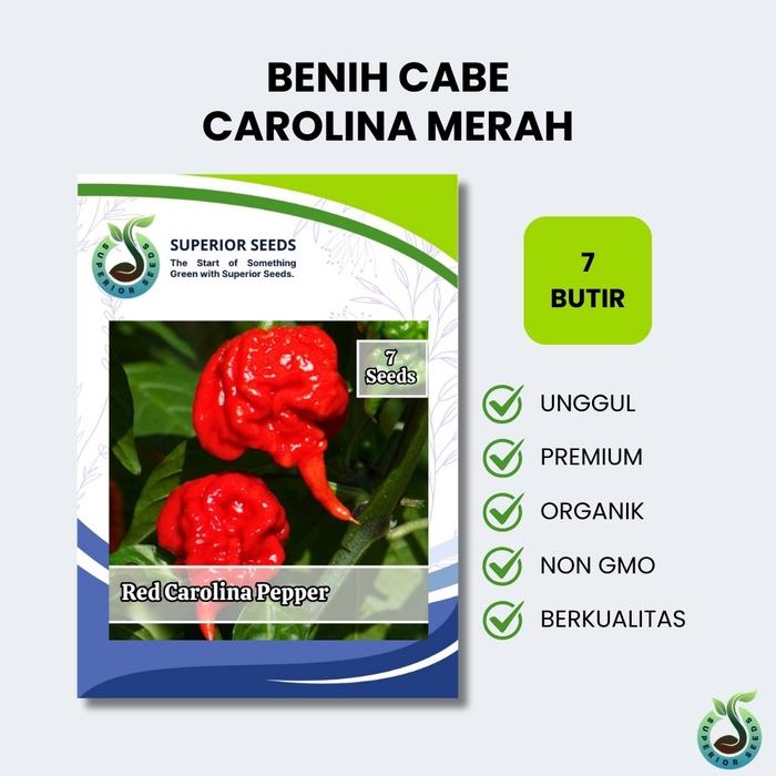 Biji Benih Cabe Carolina Merah | Cabe Terpedas (Superior Seeds)