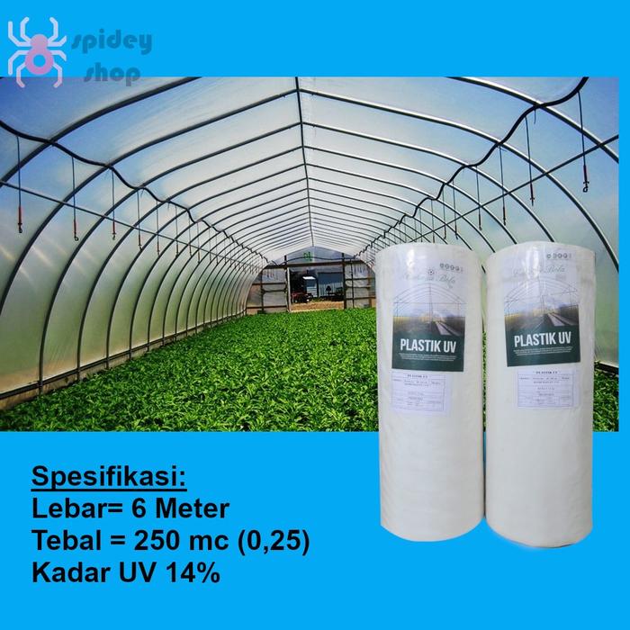 Plastik UV Lebar 6 Meter Tebal 250 Mikron 14% Harga Meteran