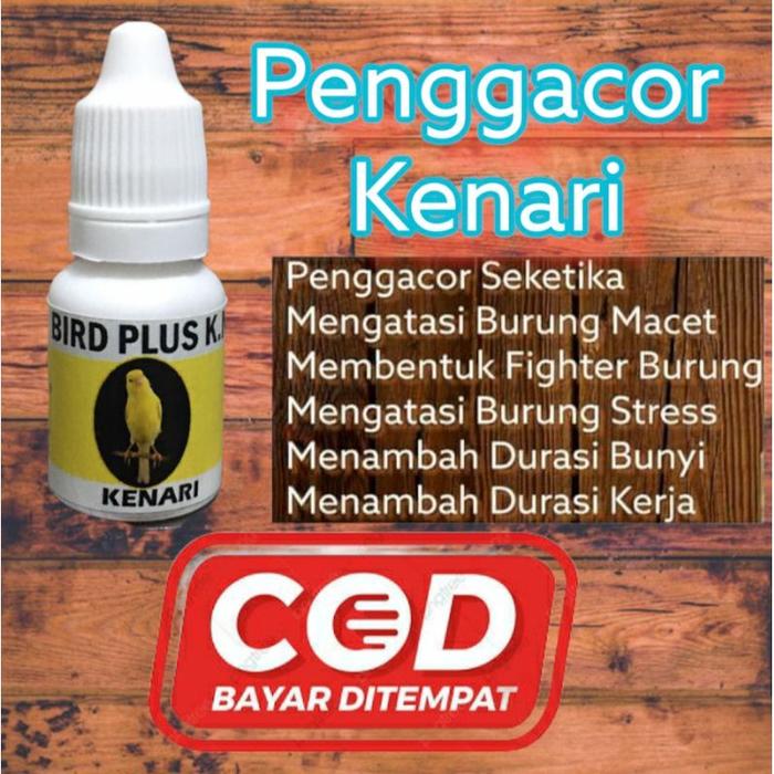Vitamin Burung Murai Batu,Vitamin Burung Murai Trotol,Vitamin Burung