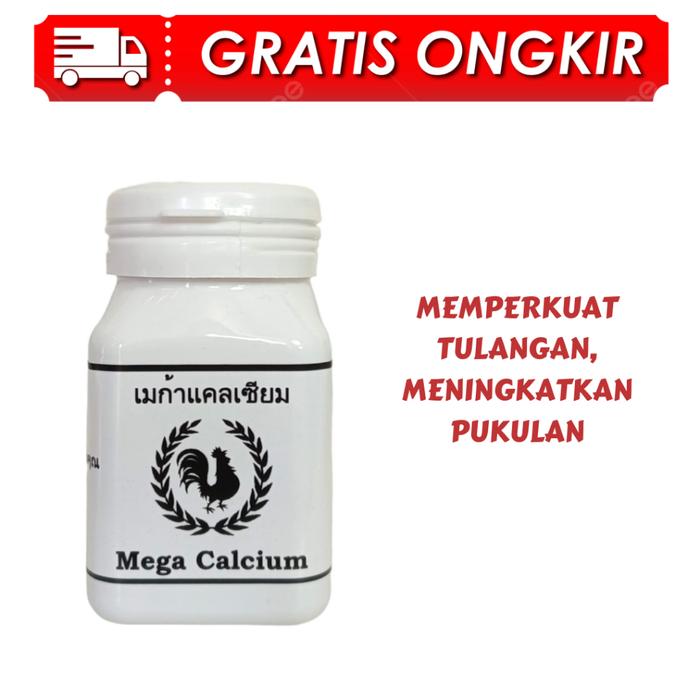VITAMIN B-COMPLEX S (vitamin b-complex super penggemukan 100 ml)