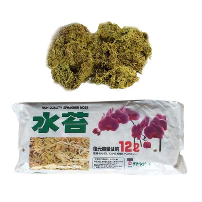 Sphagnum Moss For Plants Orchid Fertilizer Sphagnum Moss Moisturizing