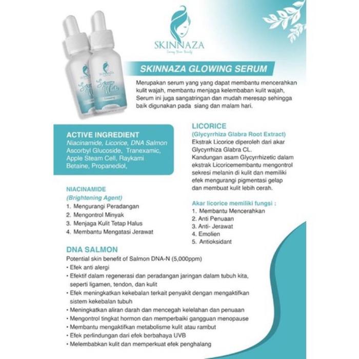 SKINNAZA SALEP FLEK SKINCARE