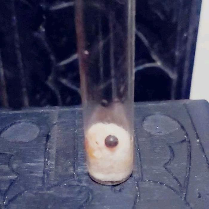 BATU MUSTIKA RAJA LIPAN HITAM